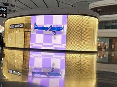 -LV路易威登(大兴国际机场店)