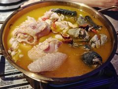 -Darling Queen·Mini·Live·House