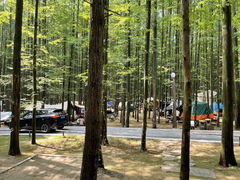 -山王坪喀斯特国家生态公园