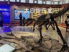 -自贡恐龙博物馆
