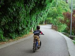 -贵阳市花溪国家城市湿地公园