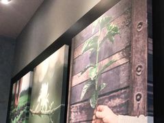 -星巴克臻选(重庆沙坪坝店)