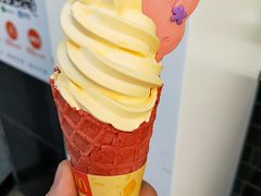 -麦当劳(石家庄乐活广场店)