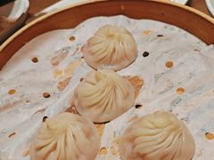 -苏小柳点心·手作小笼包(浦东嘉里城分院)