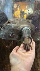 -Zoolung Zoolung动物主题公园(海信广场店)