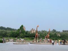 -北京野生动物园