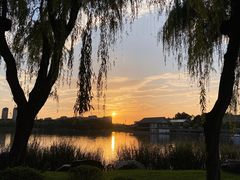 -小白鲨工夫潮膳(曲江店)