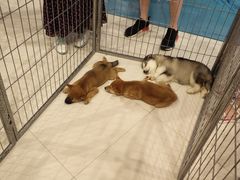 -凯德广场(学府店)