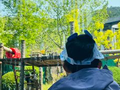 -大连森林动物园