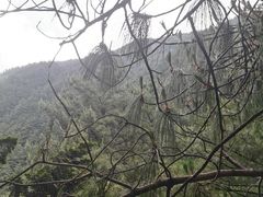 -苍山感通索道