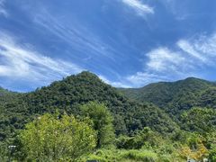 -石台牯牛降景区
