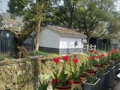 -欣怡茶庄·始于1999(梅家坞店)