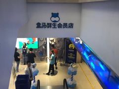 -盒马鲜生(大成店)