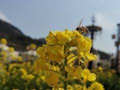 -西海岸生态观光园
