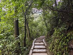 -青城山