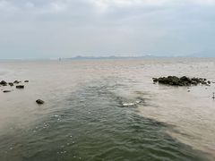 -深圳湾公园(南山区)