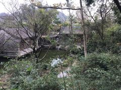-珠海圆明新园