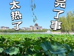 -莲花池公园