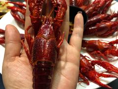 -新凯旋烧烤·燕姐千岛湖土菜