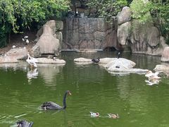 -合肥野生动物园