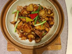 -千灯盛汇·头牌粤菜(致越优城店)