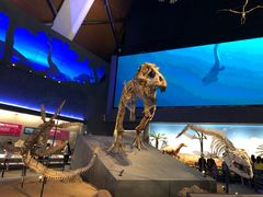 -贝林大翅鲸简餐厅(国家海洋博物馆店)