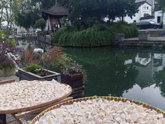 -东梓关景区村庄