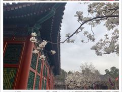 -颐和园