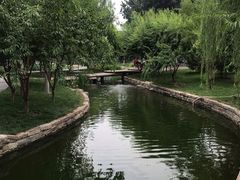 -春风习习