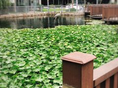 -苏州河梦清园环保主题公园