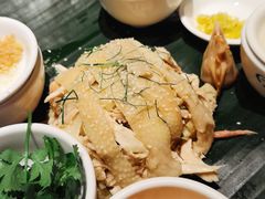 -园林美食城·本土农家菜(杨和镇店)