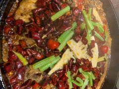 -老板恋上鱼(恒隆广场店)