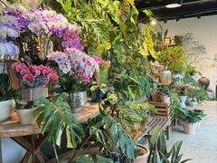 -自由生长植物工作室(深港花卉中心店)
