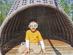 -黄海国家森林公园