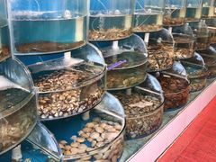 -同道蒸汽海鲜烧烤自助(刘庄夜市店)