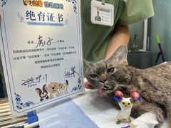 -达爱动物医院·犬猫分区·CT·复杂眼科(远洋山水分院)
