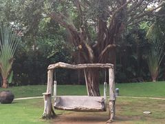 -三亚湾海居铂尔曼度假酒店