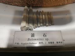 -中国地质大学逸夫博物馆