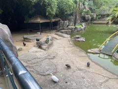 -南昌动物园