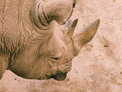 -哈尔滨北方森林动物园