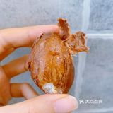 榴莲核一定不要扔掉好吗
