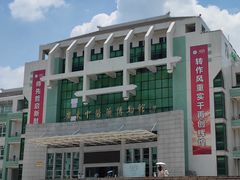 -广东中医药博物馆