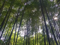 -苏州环秀晓筑养生度假村