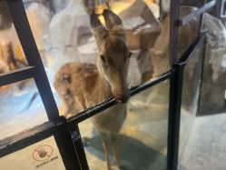 -酷嗒动物文化乐园(cutezoo西溪乐天城店)