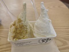 -野人先生Gelato(上海长宁龙之梦店)