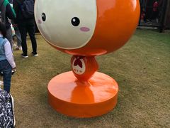 -前小桔亲子创意农场·草莓采摘·露营烧烤