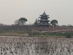 -上海海湾国家森林公园