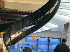 -徽珍源(龙茗路店)