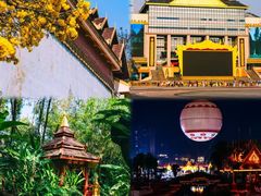 -西双版纳原始森林公园