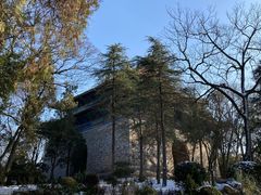 -灵谷景区